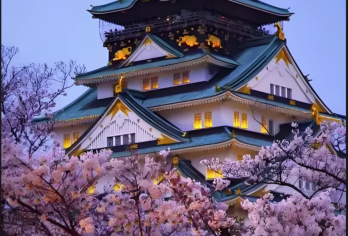 大阪城公園+大阪城天守閣+心齋橋+通天閣+新世界本通店街日游【[定制包车游]专享中文司机独立包车，市区范围酒店上门接送，行程路线天数可根据个人需求调整。】