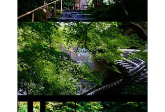 日本大阪-黑门市场-通天阁-心斋桥-道顿堀-经典经典+购物！【专业行程定制，精选热门景点，高效游玩不走回头路，贴心服务保障，轻松】