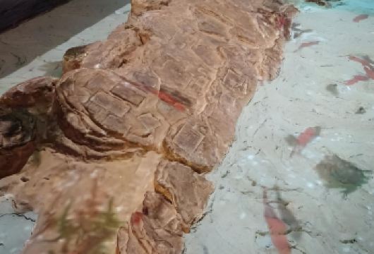 白鹤梁水下博物馆+武陵山大裂谷+816工程【重庆跟团游】【[vip订制]深度重庆涪陵，精华景点一网打尽，品质专属】