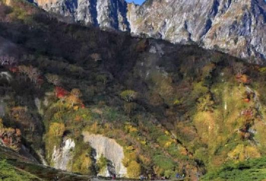 日本北海道大雪山国立公园+层云峡【秋季赏枫/中文定制包车】【尊享一对一高端行程定制，豪华包车专属礼遇，专业旅行顾问24小时恭候垂询。】