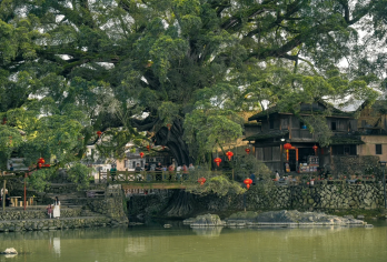 厦门出发 南靖云水谣土楼+永定高北土楼王一日游【双土楼核心全覆盖，打卡世遗土楼王与云水谣影视取景地】