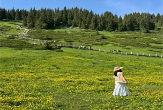 新疆赛里木湖一日游【6人内小团·深度畅玩/天天发团/纯玩团】【一站式服务，丰富驾驶经验专职司机人员伴您安心出行~】