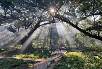 杨家溪+花竹村+留云禅寺+东壁一日游【含门票+当地接送】【[贴心服务]24小时服务~有问必答~犹豫~市区接送】