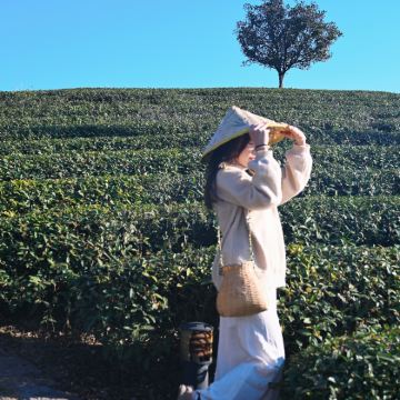 【春节保证有竹筏】武夷山+九曲溪竹筏+印象演出（可选）一日游