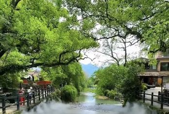 丽水—龙泉：龙泉山+下樟村+宝剑博物馆   景点可定制G【全程中文/英文/俄语/小语种服务，沟通无障碍，景点可调,多种车型可选】