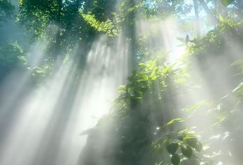 南靖云水谣景区加植物园包车一日游【品质出游】