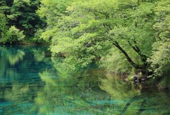 【英语导游】九寨沟一日游精华纯玩｜多语种导游专属讲解【[多语种专业导游]持国家导游资格证，英文流利，支持日 / 韩 / 法等小语种定制服务】