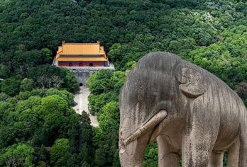 【万卷说·文史讲师】本地旅行社+南京明孝陵+2h人工讲解【[签约讲师]持有国家导游证\讲解证，一线工作经验10年以上，有责任心，能根据听众的兴趣，灵活讲解。】