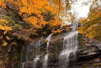 汉中+黎坪国家森林公园1日游（含门票+往返观光车）【车辆15%空座率，严选安全舒适车辆，优秀当地老司机，熟悉路况，安全驾驶，服务态度好，真诚待客。】