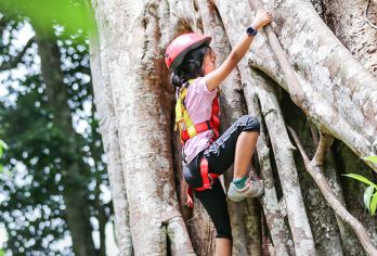 【亲子限流路线】基诺山巴朵村雨林徒步丨70%水路丨亲子向导【[安全保障]限流小众路线、专业户外本地基诺族领队全程陪同，学习野外生存技巧，体验真正的“野趣”】