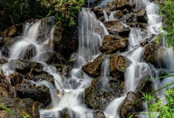 腾冲坝派巨泉+荷花温泉一日游【品质出游】