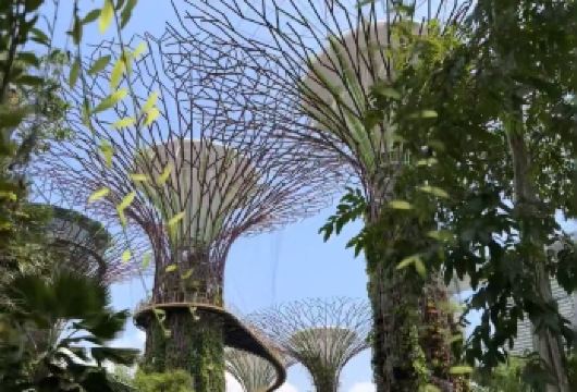 新加坡市区一日游（10小时用车/景点任选【市区上门接送】【专属线上管家服务+当地华人司机，给您专业的服务保障】