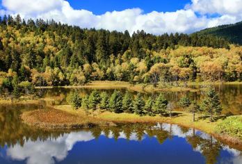香格里拉普达措一日游2-10人内纯玩小团遇见小松鼠可选私家团【2-10人舒适小团，随停随走灵活自由，真纯玩无购物；】