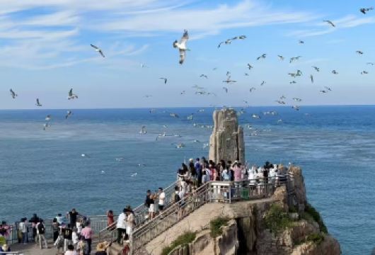 【送双礼】成山头+沉船+火炬八街+孤独公约等景点纯玩一日游【送海鸥食，天鹅食，沉船拍照道具使用】