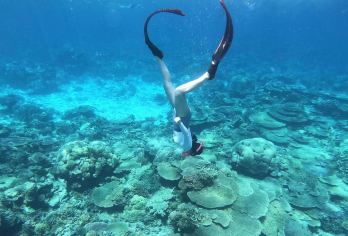 沙巴美人鱼岛+Kawa红树林|水上设施+长鼻猴/萤火虫+午餐【原始自然的魅力与宁静安和的时光完美结合！超多娱乐设施畅玩橡皮艇、水上蹦迪、秋千、水上坐骑等！】