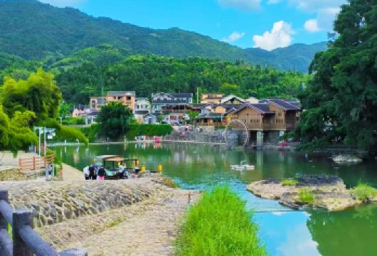 南靖云水谣+河坑土楼+永定土楼王三大景区一日游+双景区讲解【可升级VIP团，专车接送，专业服务，时间充裕】