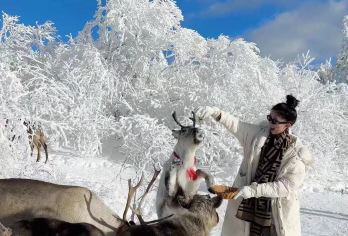 长白山魔界漂流+雪绒花驯鹿园【喂小鹿+赏雾凇】二道白河镇起止【24小时客服在线，为行程保驾护航】