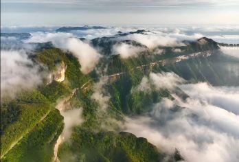 金佛山一日游【2-8人独立团|上门接送|含门票|家庭亲子游】【在巴渝大地的怀抱中，隐匿着一处令人心驰神往的世外桃源——金佛山】