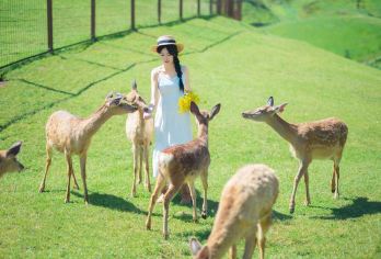 郴州仰天湖大草原一日游【含门票丨往返车丨纯玩自由行】【[品质之旅]含仰天湖大门票、仰天湖换乘车。一站式服务，市区上门接送；】