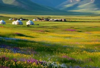 新疆阿勒泰地区喀纳斯景区一日游【纯玩-包车游-上门接送】【独立用车，行程自由，自选线路，亲朋好友快乐出行，拒绝走马观花！全程无购物，保证纯玩！】