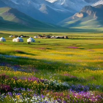 新疆阿勒泰地区喀纳斯景区一日游【纯玩-包车游-上门接送】