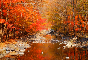 【影视剧·以法之名取景地】本溪关门山国家森林公园一日游【[主要景点]小黄山景区、月台子景区、龙门峡景区、五彩湖、雄狮守关。】