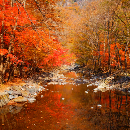 【影视剧·以法之名取景地】本溪关门山国家森林公园一日游