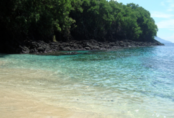 浮潜体验 + 乌布 ATV 四轮摩托车【在巴厘岛著名的蓝湖和丹戎杰蓬岛浮潜，观赏热带鱼和色彩斑斓的珊瑚礁 水上探险结束后享用美味的印尼午餐 体验惊险刺激的 ATV 越野车之旅，穿越乌布乡村，包含私人酒店接送服务】