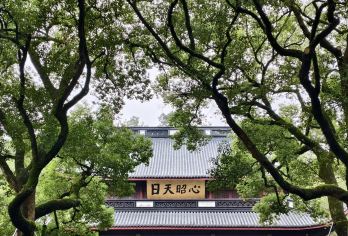 【包团】岳王庙+曲院风荷+漫步苏堤+宋代点茶体验+品狮峰龙井【参观岳王庙，了解南宋抗金名将岳飞的故事】