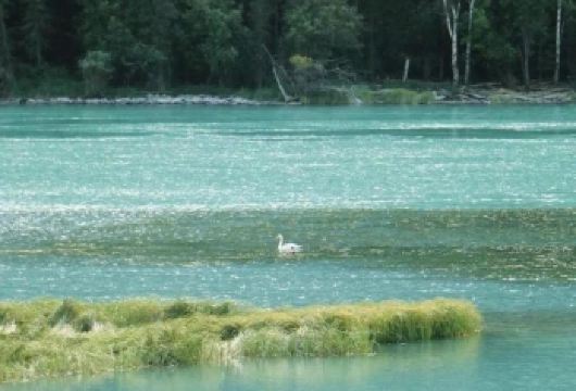 新西兰皇后镇-天堂镇-箭镇-瓦卡蒂普湖-中文包车私享行【精选热门景点，高效游玩不走回头路，深度了解文化内涵，贴心服务保障，轻松享受旅程，性价比超高的旅行。】