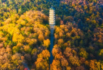 【南京赏秋季】明孝陵+灵谷寺+【钟山风景名胜区】【全天包车8H服务，行程自由可调整】