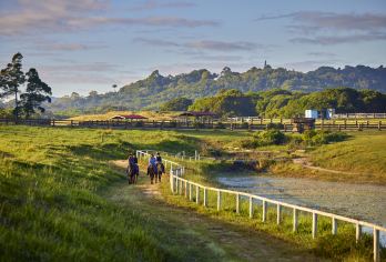 凯恩斯库兰达热带雨林+酷牛牧场一日游-搭配火车或缆车+含晚餐【套餐可自由选择，缆车 火车 热带公园等景点自由搭配】