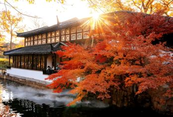 上海往返苏州拙政园+周庄古镇一日游【在 “中国四大名园” 之首的拙政园，漫步于亭台楼阁、曲水回廊间】