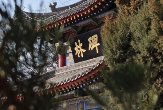 【纯玩·含门票】西安碑林博物馆+2.5小时深度讲解+蓝牙耳机【2.5小时精品讲解，让您不虚此行；】