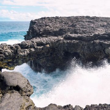 毛里求斯卡塞拉自然公园+夏马尔瀑布+弗利康弗拉克｜包车一日游