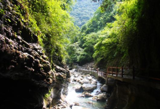 重庆黑山谷风景区一日游【2-6人包车游+含门票+上门接送】【[优势亮点]私家团含门票、ViP一单一团，不拼车，不拼人，专车专用，属于专属空间。】