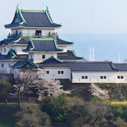 日本大阪出发：和歌山城+贵志站+千叠敷+三段壁一日游