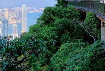 香港中环摩天轮+太平山+维港风情【6小时包车-可自定义行程】【司机专业​：本地司机熟悉路况及景点，节省时间】