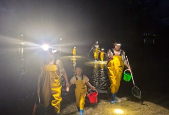 后海赶海半日游 专业教练陪同带领 配齐装备 小朋友连体裤 【亲子游佳选 带上宝宝感受大自然】