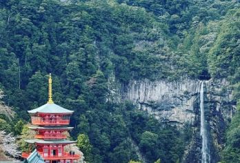 日本大阪+和歌山白滨温泉+千叠敷一日游/行程可调-可定制多日【包车一日游，解锁旅行新方式！独立车辆配备经验丰富的老司机，为您量身打造专属行程。】