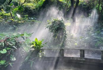 钟鼓索道+植物园+南普陀祈福1日游【秋冬特惠|多套餐可选】【[品质承诺]：索道保证乘坐！！保证厦门大学成功预约进校参观！！南普陀寺祈福~~~】