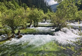 松潘站--黄龙--九寨沟 景区直通车 小车拼车/包车可选【小车可送到酒店门口，更加方便快捷，避免中转】
