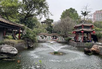 顺德清晖园博物馆【大师说·趣味讲解1小时+门票】【[超方便]含门票，可选上下午场】