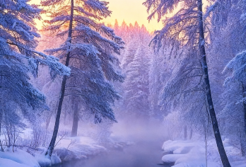 雪岭/老李克湖一日游《延吉发车/包车/拼车》星级服务【游客在雪岭滑雪、坐雪地摩托、喂驯鹿的场景，雪岭的木屋、冰雕和远处的长白山主峰。】