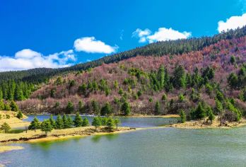 普达措国家公园+依拉草原一日游【2-8人小团.邂逅小松鼠】【[精华景点]普达措公园.遇见小松鼠+依拉草原.既是草原亦是湖泊】