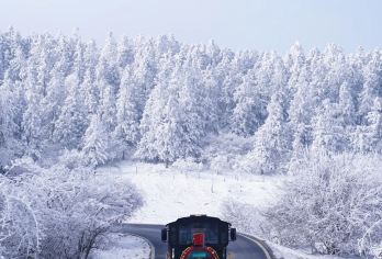 【纯玩8人小团】武隆仙女山国家森林公园+乌江观景台一日游【畅玩仙女山，打卡仙女山滑雪场、大草原、网红波浪公路。】