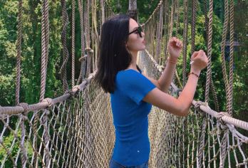 望天树景区一日游【市区上门接送  一单一团】【[缤纷景点]从“水、陆、空”北纬二十一度全方位俯瞰整片雨林，体验热带雨林的绿洲，徒步探索奇妙植物】