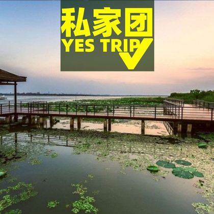 江苏阳澄湖+阳澄湖莲花岛+甪直古镇一日游