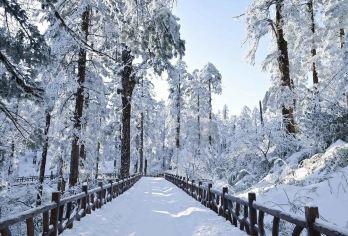 瓦屋山风景区一日游【赏雪景 . 观雾凇 . 觅萌宠】【全程无购物店，亲子玩水.避暑，尽情享受旅途美景；】