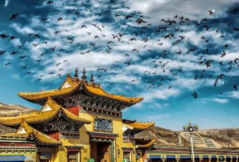 西宁+隆务寺+吾屯下寺+郭麻日古堡（真纯玩|无套路|服务好）【车辆15%空座率，严选安全舒适车辆，优秀当地老司机，熟悉路况，安全驾驶，服务态度好，真诚待客。】